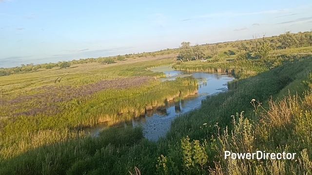 🍄 По грибы, ураа!!! Река, лебедь, цветы - красота!!! смотреть онлайн