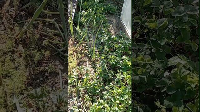 последстви непогоды 23.06.2025