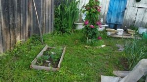 Утро 5 июля. /часть первая/