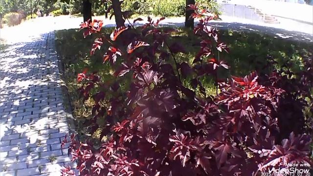 Мариуполь ⛵ жаркий день+30🌞 смотреть онлайн