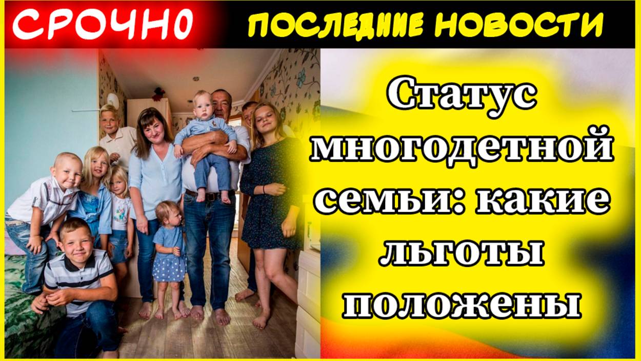 Статус многодетной семьи: какие льготы положены смотреть онлайн