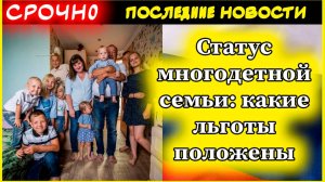 Статус многодетной семьи: какие льготы положены