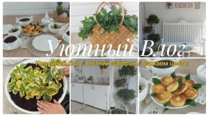 ЭСТЕТИКА И УЮТ В ДОМЕ 💖🏡 РЕЦЕПТ ИДЕАЛЬНЫХ СЫРНИКОВ 🥞🧀 СУШИМ МЯТУ И ЛАВАНДУ 💜 САЖАЕМ ЦВЕТЫ 🌱🪴