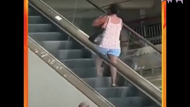 "ПРИКОЛЫ НА ЛЮБОЙ ВКУС: СМЕШНЫЕ ВИДЕО ДЛЯ ВСЕХ" смотреть онлайн