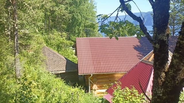 Отдых на Телецкое. кто ходит подробнее ? смотреть онлайн