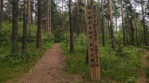 Эко тропа "Камовые холмы"