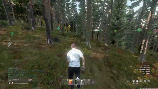 Не возможно Выжить в DayZ