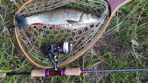 МР, Филевская пойма. Разведка с топвотерами