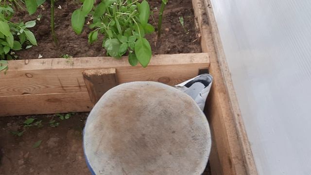 Прибираю в теплице) смотреть онлайн