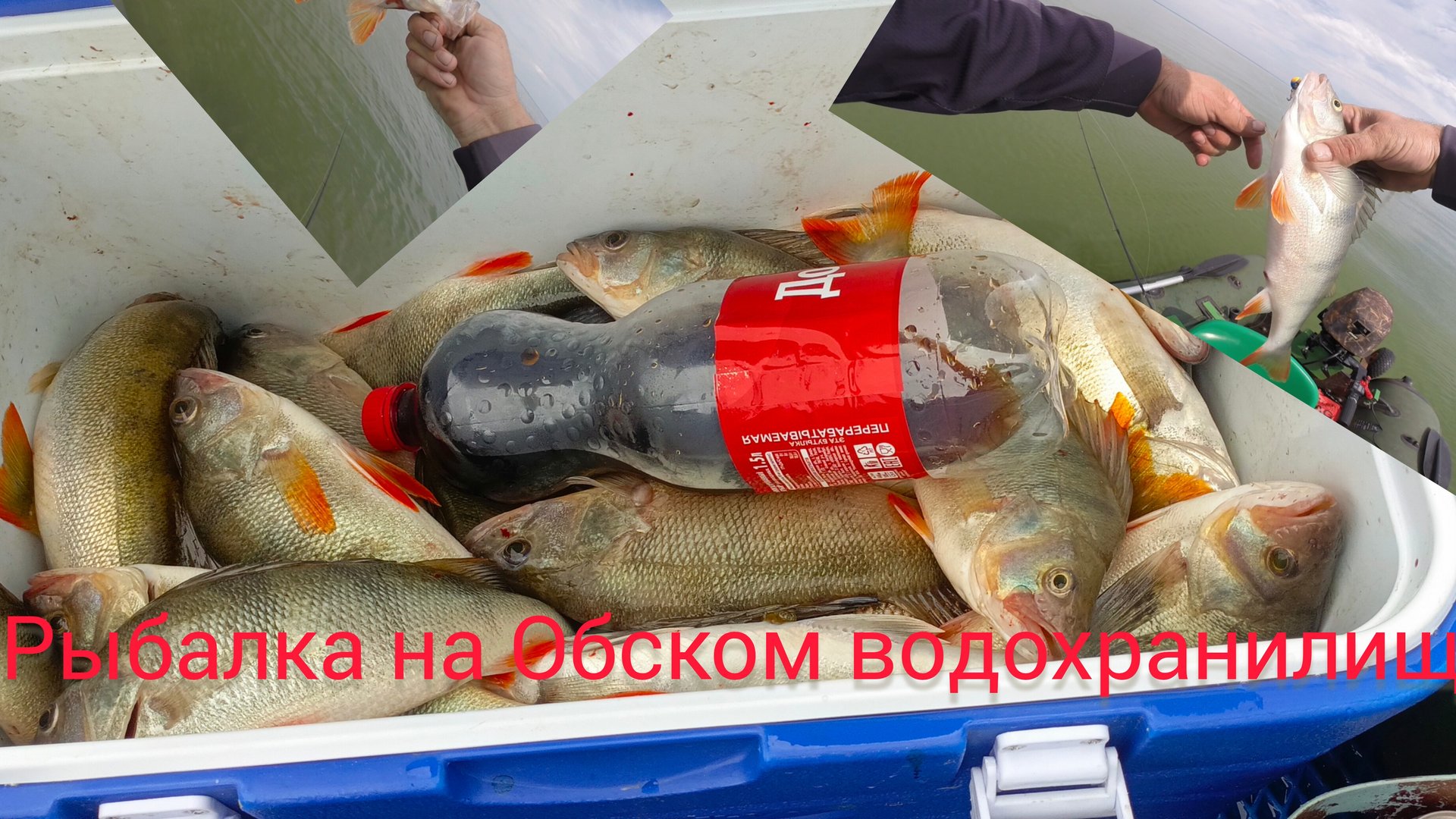 Нашёл стаю рыбы и началось...Рыбалка на Обском водохранилище смотреть онлайн