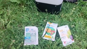 Обрабатываю смородину от мучнистой росы - показываю экстренные меры спасения урожая