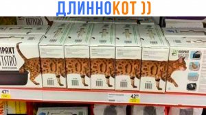 ДЛИННОКОТ ))) Приколы | Мемозг 1630