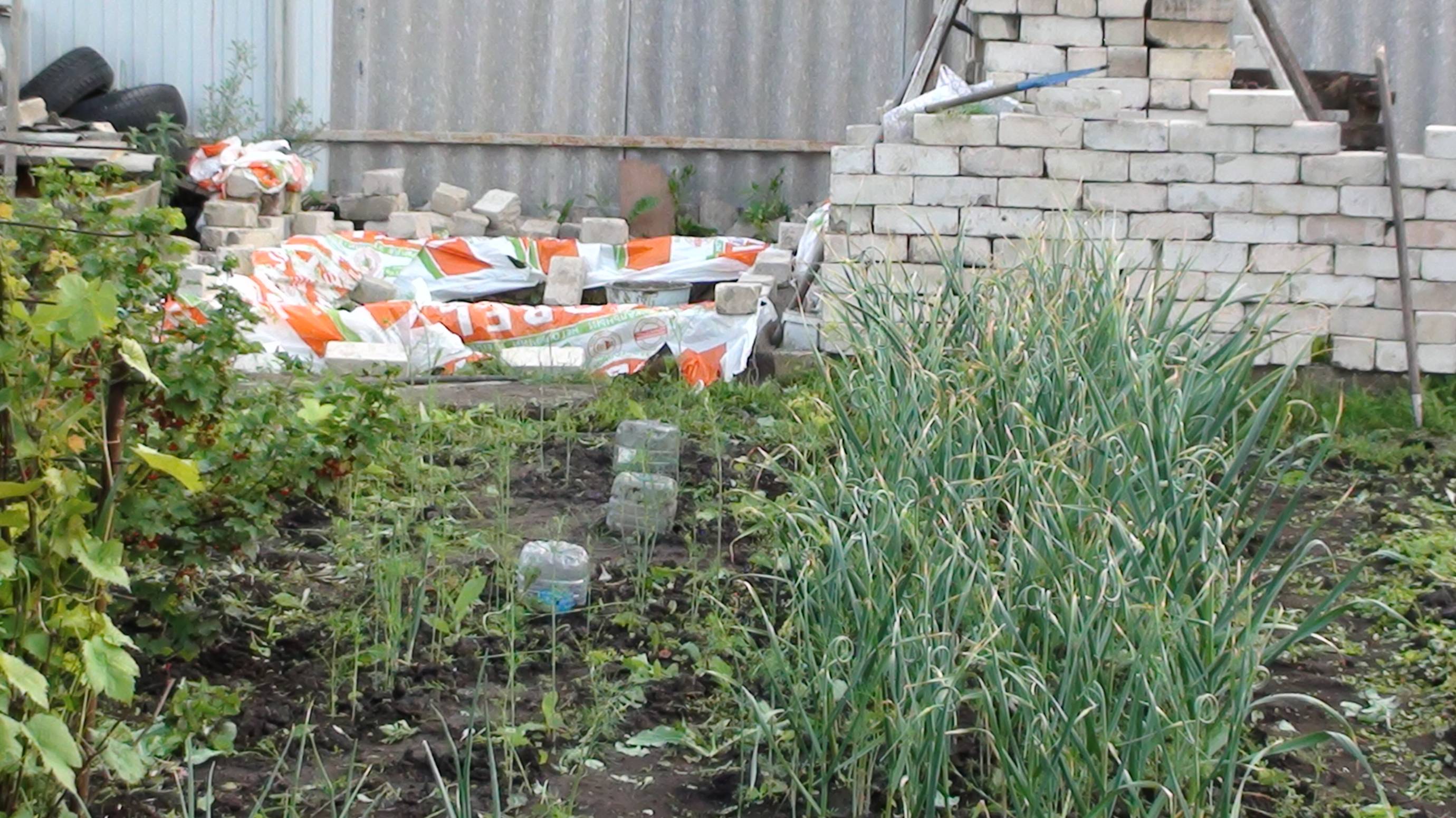 Положил первый ряд кирпича// Что за лето: То дождь, то солнце// Прополол лук с чесноком. смотреть онлайн