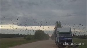 9 гонка. 532км. Московский регион. Старт 6 июля 2025 года.