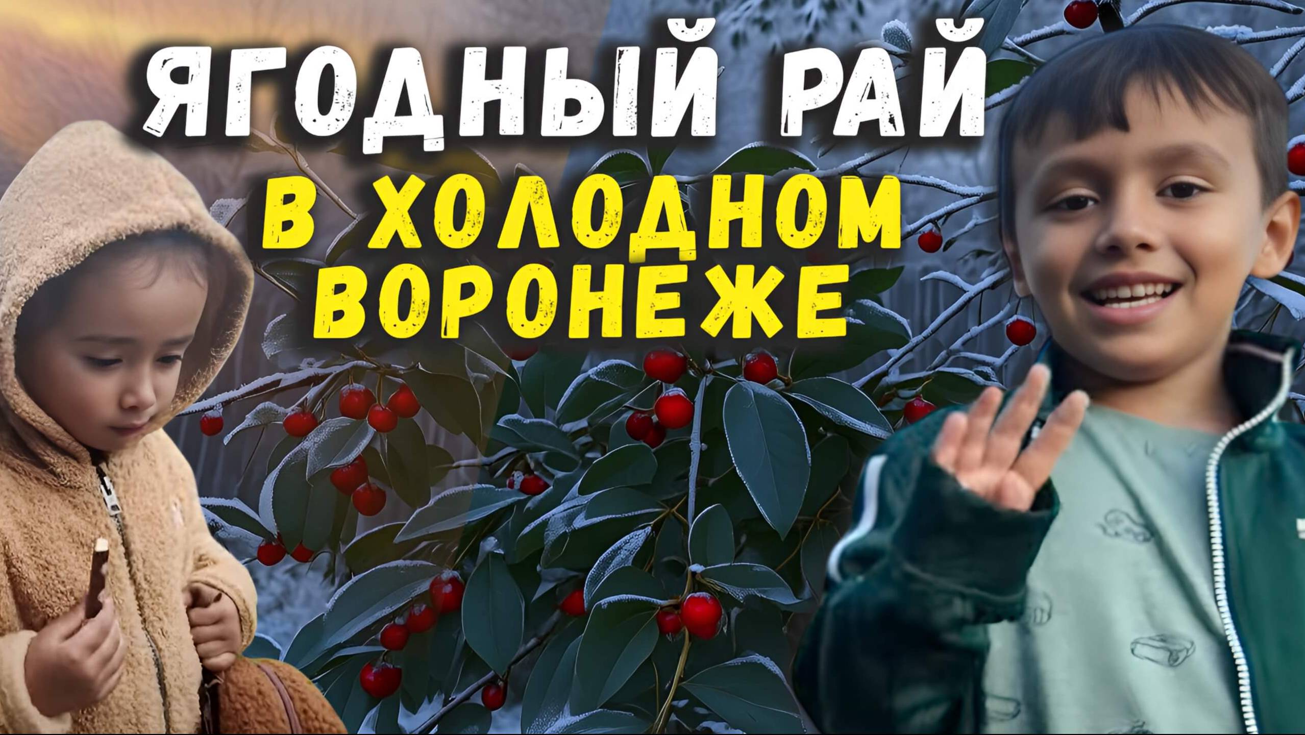 Холодное лето 2025 Воронеж смотреть онлайн