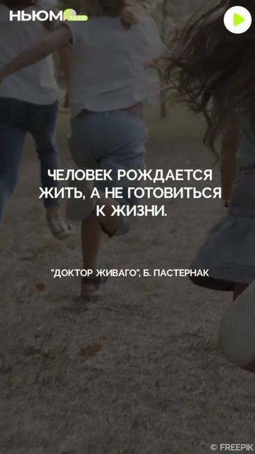 Цитата дня смотреть онлайн