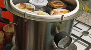 Краткий обзор на автоклав Fansel-2