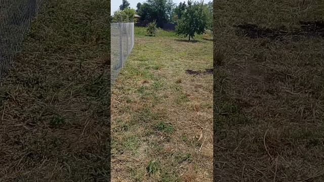 1000049993.mp4 смотреть онлайн