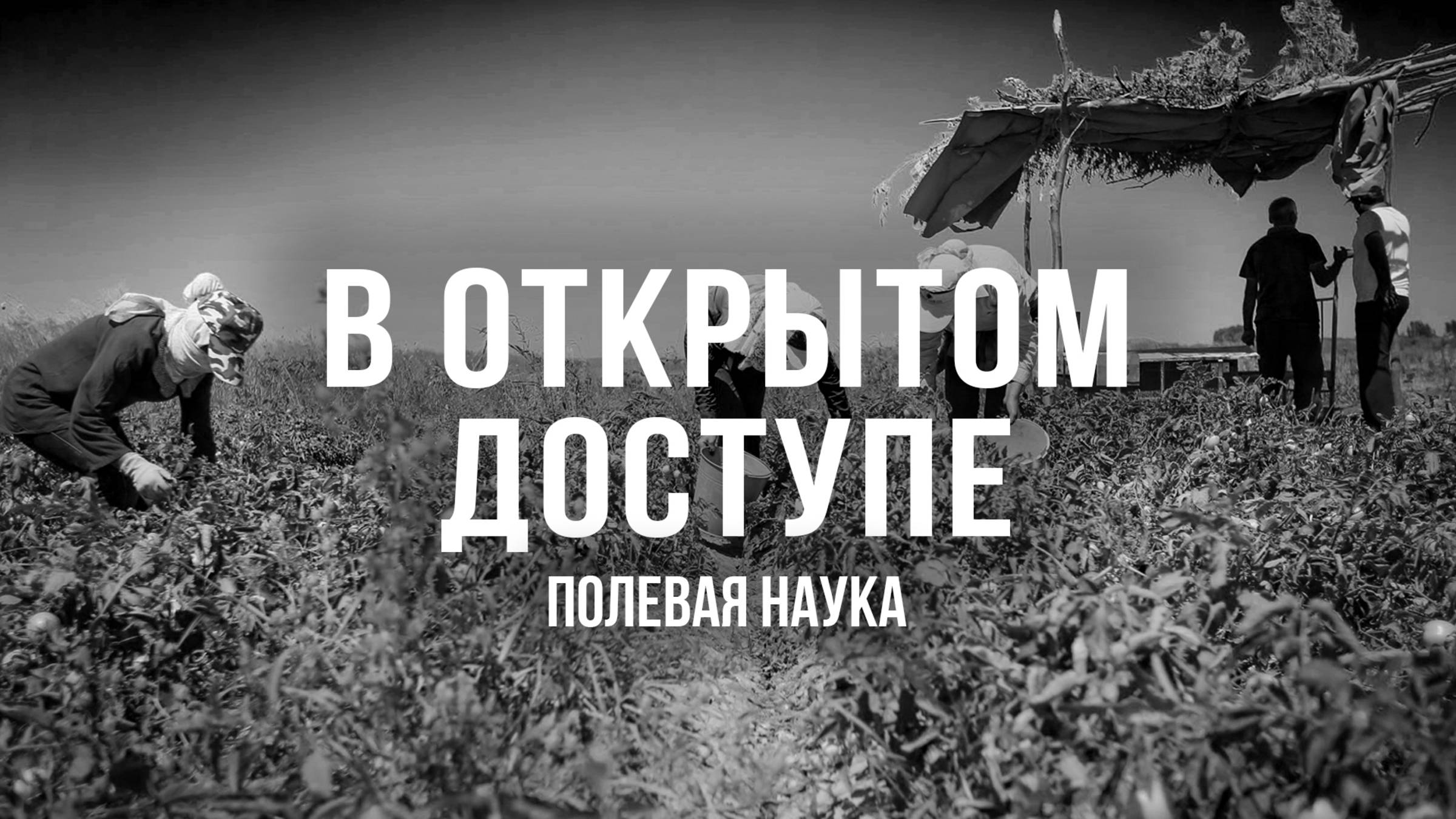 Полевая наука | Архивные кадры. В открытом доступе