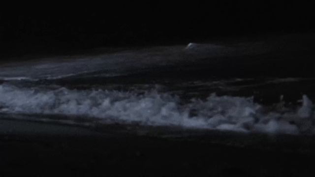 A Coldcore Playlist (1080p_30fps_H264-128kbit_AAC)