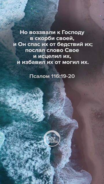 Псалом 11619 20 смотреть онлайн