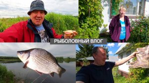 Рыбалка на Болотах / Ермолино, Обзор Покупок / Дачный ВЛОГ