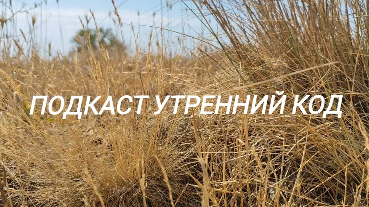 Подкаст Утренний код #психология #мотивация #магияутра