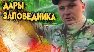 Пробираемся к дому лесника.