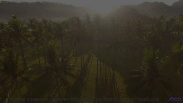 Музыка и виды - от которых не оторваться - Clarity -- Makaih Beats -- Clarity