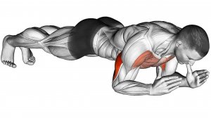 Лучшие домашние упражнения без оборудования