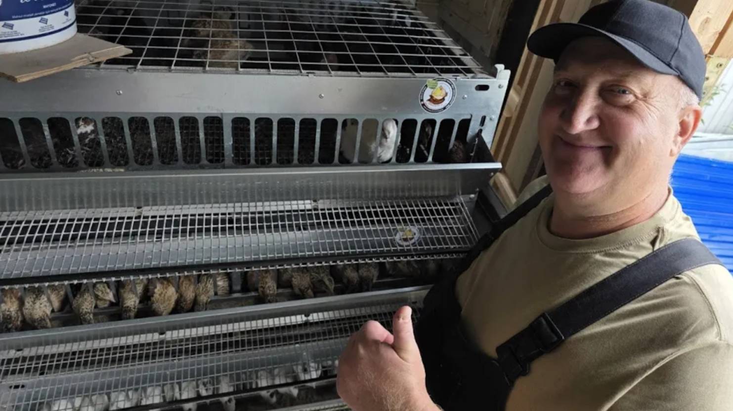 СОДЕРЖАНИЕ ПЕРЕПЁЛОК В КЛЕТКАХ ОТ БОЧАРОВА ДМИТРИЯ!!! 06.07.2025 ГОД. смотреть онлайн