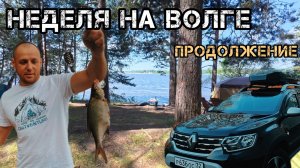 ОТДЫХАЕМ НЕДЕЛЮ НА БЕРГУ ВОЛГИ (продолжение)🏕️ ЛОВИМ МНОГО РЫБЫ🎣 СПАСАЕМСЯ ОТ ДОЖДЯ☔️и ВЕТРА💨