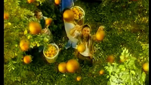 Анонсы + реклама на ТВЦ(2). 19.12.2009г. смотреть онлайн