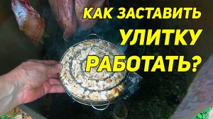 КАК ЗАСТАВИТЬ УЛИТКУ РАБОТАТЬ ⁉️