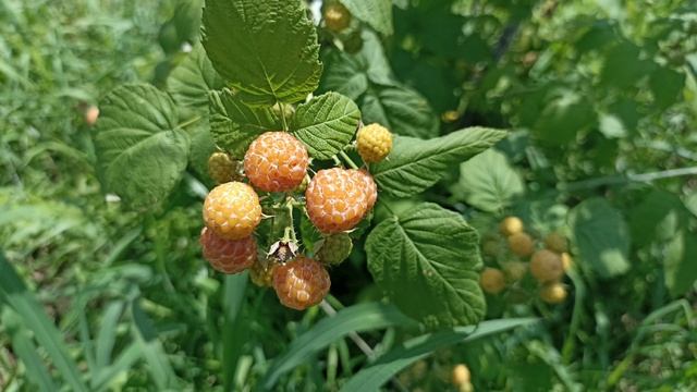 Привет мои друзья по интернету
Елена Карпук смотреть онлайн