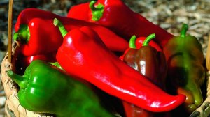 Возможные причины пожелтения верхних листьев перца и как с этим бороться.