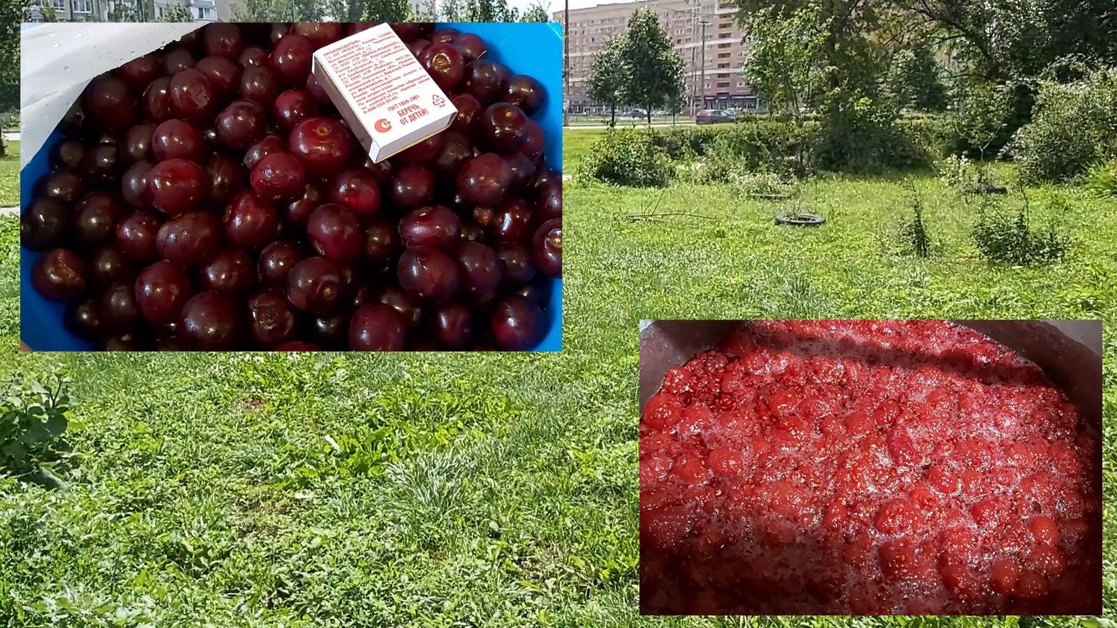 Ягодный бум!))) Вишня, малина!))) Запасы на зиму, наварила варенья! Пожертвовала ярмаркой))) смотреть онлайн