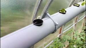 Гидропоника своими руками