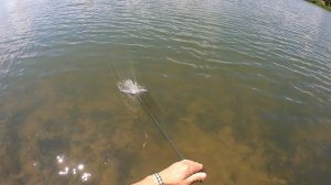 Бомбическая рыбалка кастинговой сеткой 6м. Вот и на моей улице праздник 😁😁😁👍🔥🔥🔥