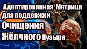 Звуковая матрица для мягкой поддержки жёлчного пузыря и профилактики желчнокаменной болезни.