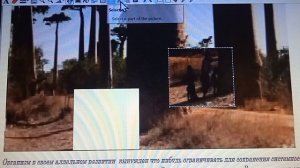 5-23  Долголетие Биологичесмки нам назначена смерть  чтобы популяция зацело выживала  Забота о потом