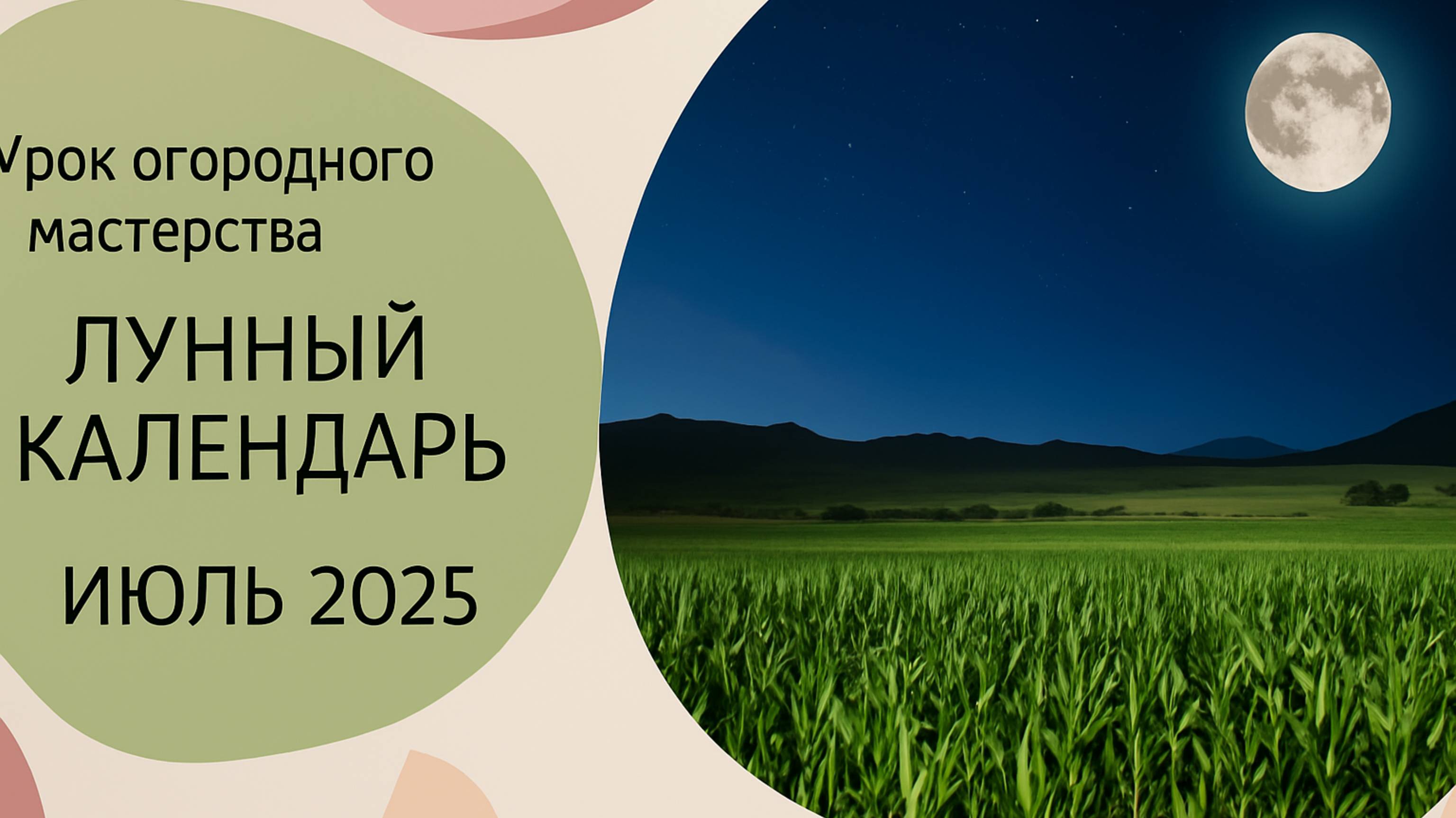 🍅 СЕЙ СЕЙЧАС — потом будет поздно! Лунный календарь на июль 2025 🧄