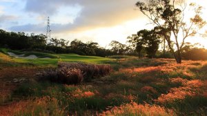 Гольф на Тайване в клубе Tsai Hsing Elite Club в стиле ASMR