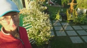 Видео привет с 6 соток 3 июля 2025 года