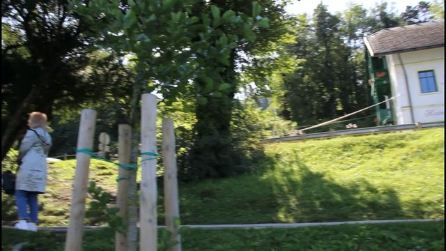 Словения. Озеро и замок Блед. Весь в лианах отель Hotel Jadran - Sava Hotels & Resorts. смотреть онлайн