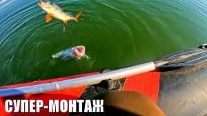 ЭТОТ МОНТАЖ ТВОРИТ ЧУДЕСА! КРУПНЫЙ СУДАК, ОКУНЬ в ОДНУ ПОКЛЁВКУ! Рыбалка на ОБСКОМ ВОДОХРАНИЛИЩЕ!