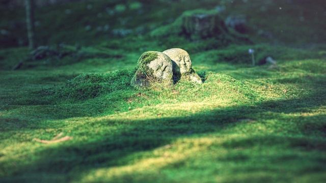 Атмосфера японского храма\сада и музыка - расслабляющие звуки сада с умиротворяющей атмосферой