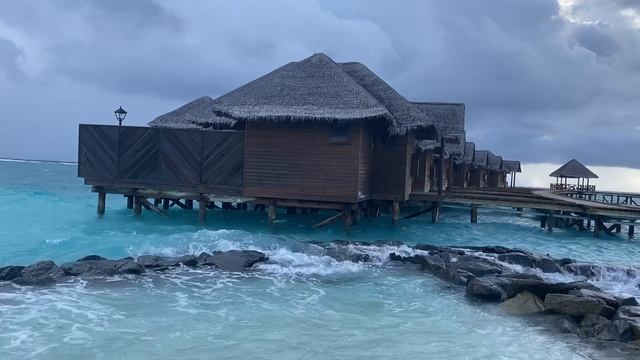 Коралловый пляж, красивые ракушки, прозрачная вода | Эглет