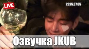 [ОЗВУЧКА JKUB] Трансляция Тэхена Я делал туш-туш, а потом отключился 2025.07.05