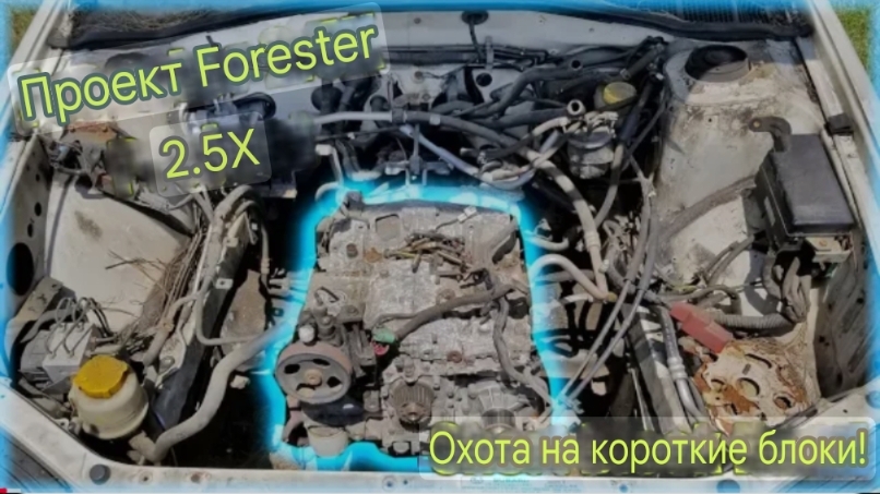 ГБЦ Subaru Forester, вскрытие покажет! смотреть онлайн